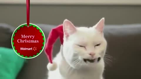 CAT SINGING JINGLE BELL