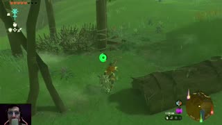 The Legend of Zelda Tears of the Kingdom | Ep. 37 - Flying Forest Action