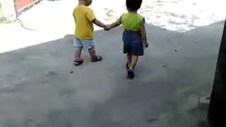 Two brothers walking