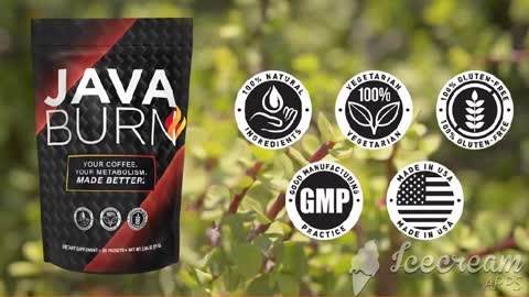 daily weight loss supplement - java burn