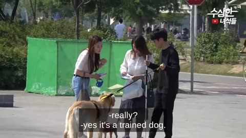 Best Korean prank || part 10 || trending video