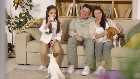 Happy family couple sitting on sofa and petting cute beagle dog