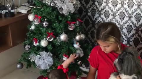 Toddler Crashes Christmas Tree Onto Older Sister Holding Dog Preparing for Family Photo