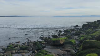 Capitola Jetty