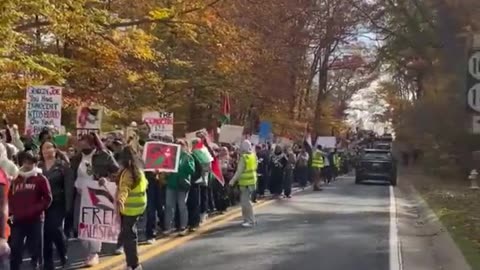 Pro-Palestine Protesters Gather Outside Biden's Home In Delaware: Video 1