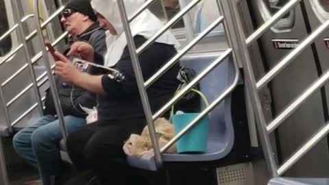 Guy wearing bunny rabbit ears playing ukulele and singing in subway train