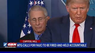 MTG calls for Fauci to be fired and held accountable