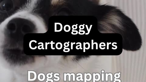 Doggie Cartogrophers