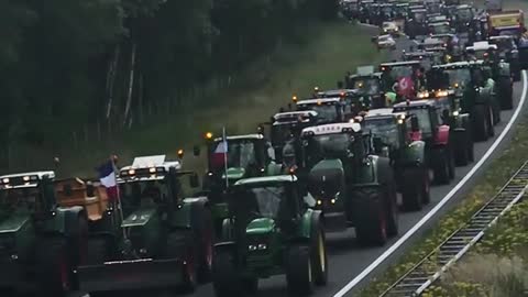 Dutch farmers convoy protests closure of farms to reduce nitrogen use