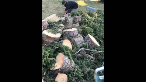 Down To Earth Gardening, Tree & Rubbish Removal - (347) 727-6591