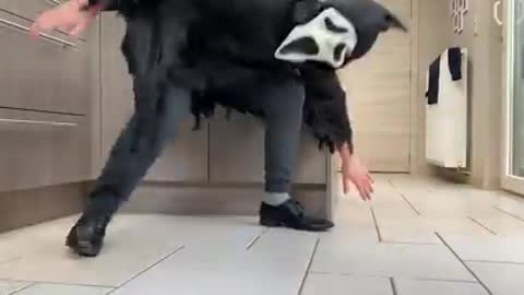 Dog Vs ghostface prank.. Funny dog reactions