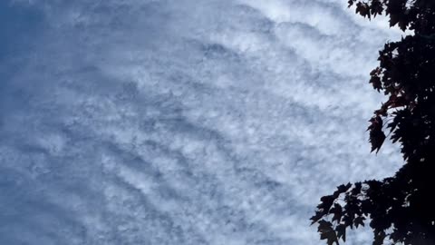 What type of clouds are these?