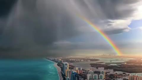 Miami rainbow beauty