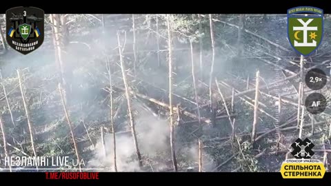 Ukrainian Drone strike unit in action vs Russian soldiers