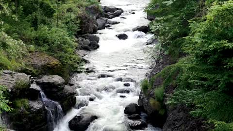 The water flows in forest dane on stone