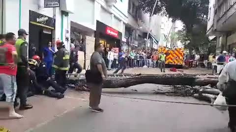 Video registró caída de un bombero junto a un árbol en el Centro de Bucaramanga