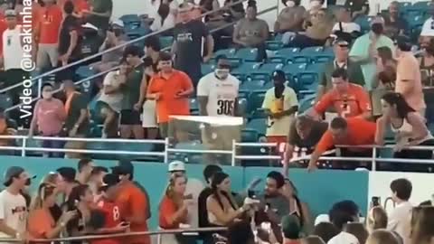 Cat falling was saved with American flag in Miami-USA football game
