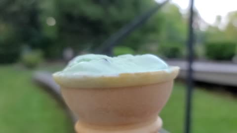 Steam Off Ice Cream On Hot Summer Night