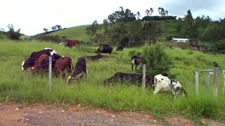 2009 - Campus da UNEC, Bairro das Graças - Caratinga, Minas Gerais - 08 de janeiro