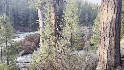 Wilderness Adventuring on Deschutes River Trail – Central Oregon – 4K