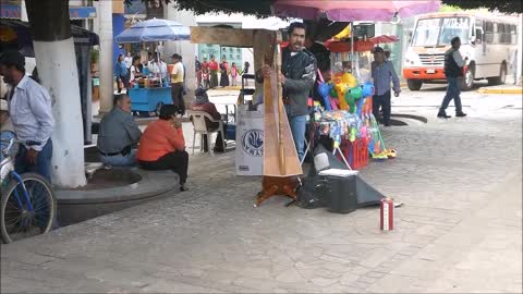 An Amazing Harpist on the Plaza Principal, Arandas, Mexico