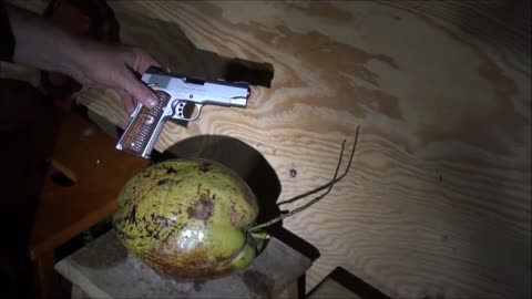 Derringer .410 Shotgun Pistol vs. Coconuts Weapons Education