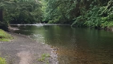 Creek walk at Camp 18