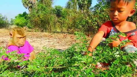 Wow ! Adorable Vithu & SokYaa Meet Pomegranate So Happily