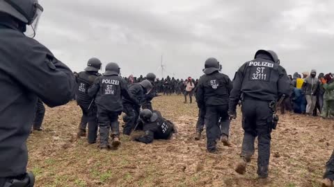 Lützerath, Schweine suhlen sich im Schlamm