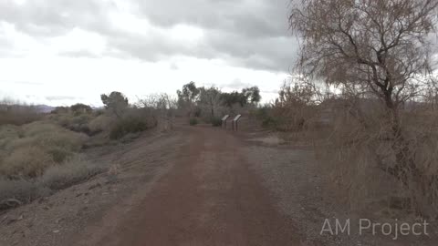 AMProject Henderson Bird Viewing Preserve