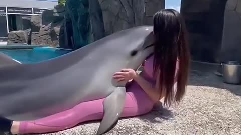 Dolphin lover's
