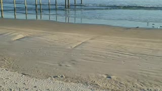 Florida beach covid-19