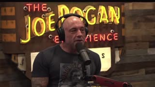 Donald Trump for the Joe Rogan Show?