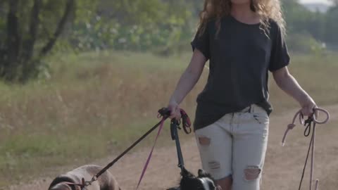 Woman Walking with Dogs on Leash