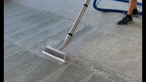 Carpet Cleaning at Ozis Cleaner