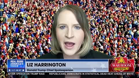 Liz Harrington: More and More People See what the Real Game Is - The Weaponized Government