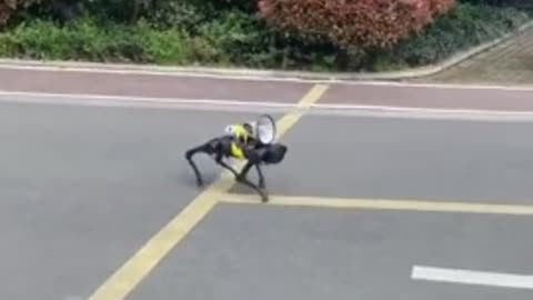 Robot dog patrols the empty streets in China with a loudspeaker as a reminder of sanitary measures