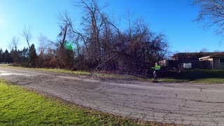 Storm Tree Road Cleanup