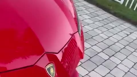 Son buys 300k Lamborghini with dads credit card