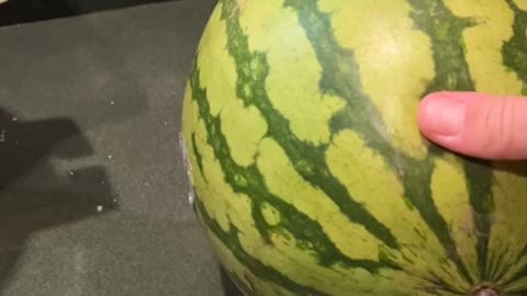 Rotten Watermelon Leaks On The Counter