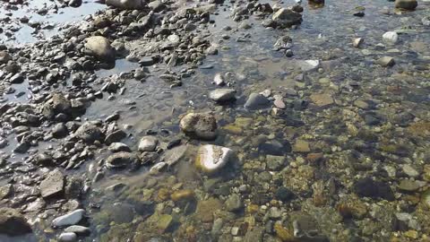 What did I discover during a Himalayan River Walk?