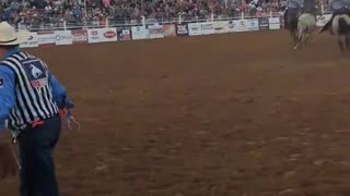 Saddle Bronc At North Texas Fair and Rodeo