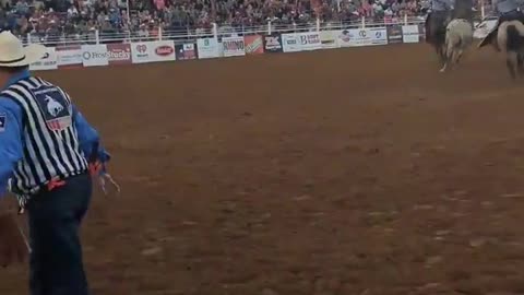 Saddle Bronc At North Texas Fair and Rodeo