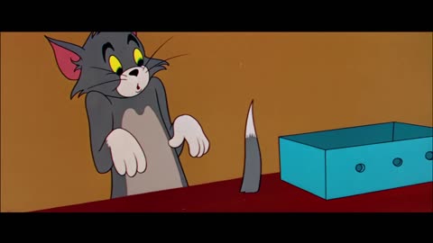 Tom & Jerry | Tom & Jerry in Full Screen | Classic Cartoon Compilation | Kids