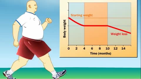 How Does Exercise Impact Weight Loss fast?