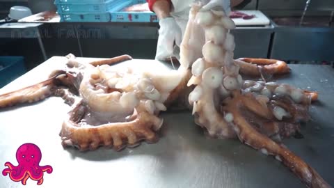 How Japan Chef Cutting Giant Octopus And Octopus Processing