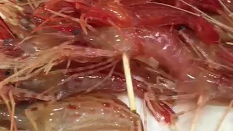 This is Live shrimp