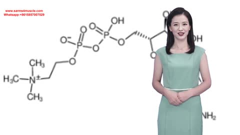 cas: 987-78-0 CDP-choline Citicoline Acid Cytidine diphosphate choline