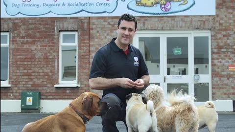 If you’re looking for Dog Grooming in Galway