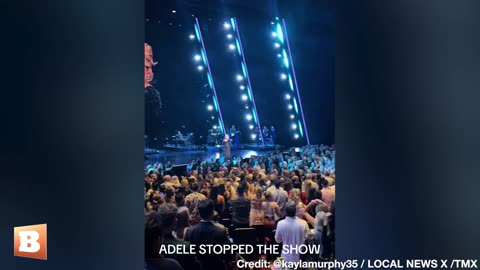 "Leave Him Alone!" Adele STOPS SHOW to Get Security, Concertgoers to Back Off of Fan